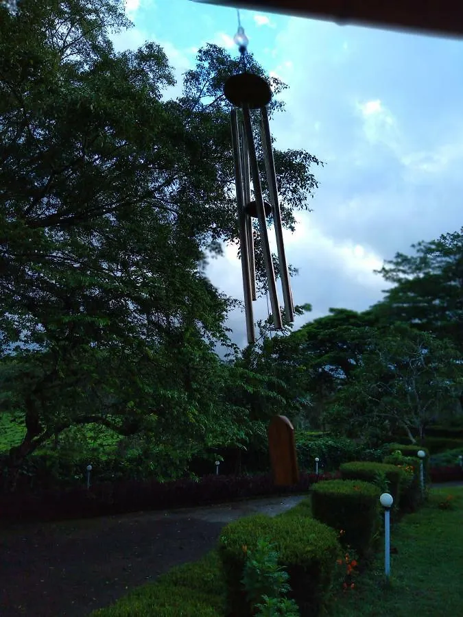 度假村 Tea Tours Ripon Heritage Bungalow Meppādi 印度